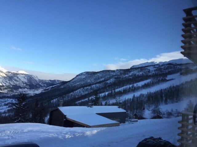 Skarsnuten Panorama 14 Hemsedal Exteriör bild